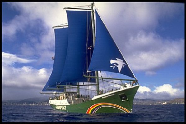 Un vas al organizaţiei Greenpeace a acostat în Portul Constanţa